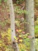 20231029_082755.jpg