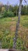 20231029_170505.jpg