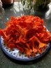 Chanterelle1.jpg