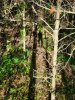 20231009_094434.jpg