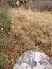 20231030_103259.jpg