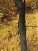 IMG_4458.jpeg