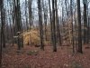 20231031_072228.jpg