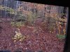 20231031_072215.jpg