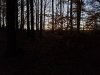 20231031_072154.jpg