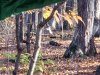 20231031_090126.jpg