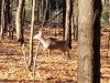 20231031_104359.jpg