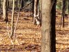 20231031_104358.jpg