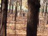 20231031_104236.jpg