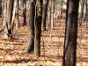 20231031_104227.jpg