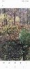Screenshot_20231031_105545_Gallery.jpg