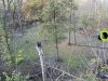 IMG_5330.jpeg