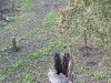 IMG_5331.jpeg