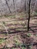 20231031_121804.jpg