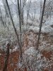 20231031_162747.jpg