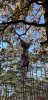 upload_2023-11-1_16-50-24.png