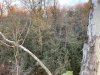 IMG_5351.jpeg