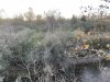 IMG_5348.jpeg