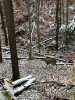 Image1698929335.645182.jpg