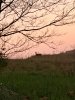 20231102_184839.jpg