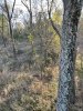 IMG_5367.jpeg