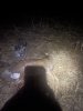 IMG_5380.jpeg