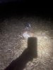 IMG_5378.jpeg
