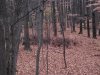 20231103_072627.jpg