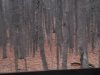 20231103_072616.jpg