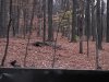 20231103_072606.jpg