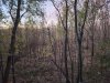 20231103_071843.jpg