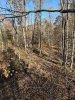 20231103_104804.jpg