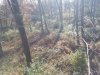 20231103_150553.jpg
