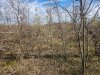 20231103_143625.jpg