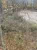 IMG_4381.jpeg
