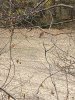 IMG_4383.jpeg