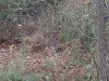 20231103_180433.jpg