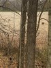 IMG_4386.jpeg