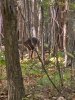 20231103_151936.jpeg