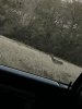 72074497479__BA52D383-5FC5-43DB-ADD0-D27D7EA90459.jpeg
