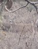 Screenshot_20231103_202244_Gallery.jpg