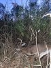 20231103_183249.jpg