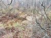 20231104_081637.jpg