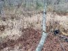 20231104_081628.jpg