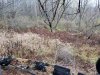 20231104_081619.jpg