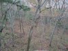 20231104_075310.jpg