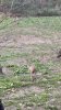 IMG_5419.jpeg