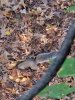 20231104_091031.jpeg