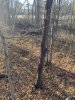 IMG_4395.jpeg