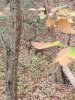 20231104_173819.jpg